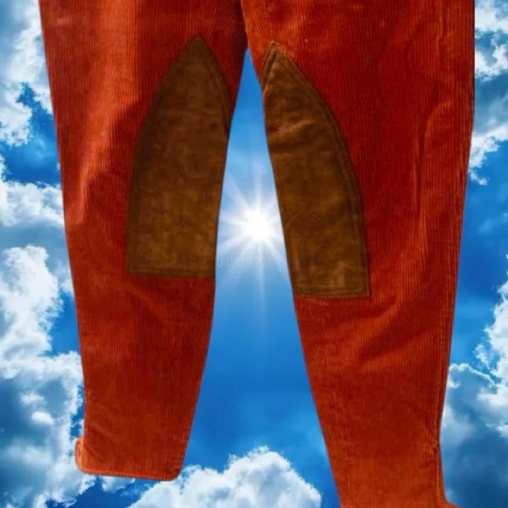 Ralph Lauren Womens Orange Flat Front Jodhpurs & Breeches Riding Pants
SZ4 30/29 - Picture 4 of 13